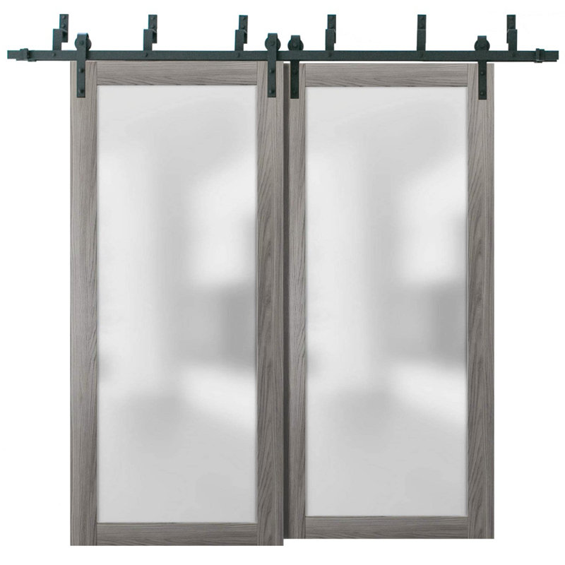 Portes coulissantes de placard en verre dépoli de style grange avec quincaillerie Planum 2102 Ginger Ash, rails robustes de 2 m, ensemble de quincaillerie, portes de placard de chambre modernes en bois massif - 163 x 213 cm (2 x 81 x 213 cm)