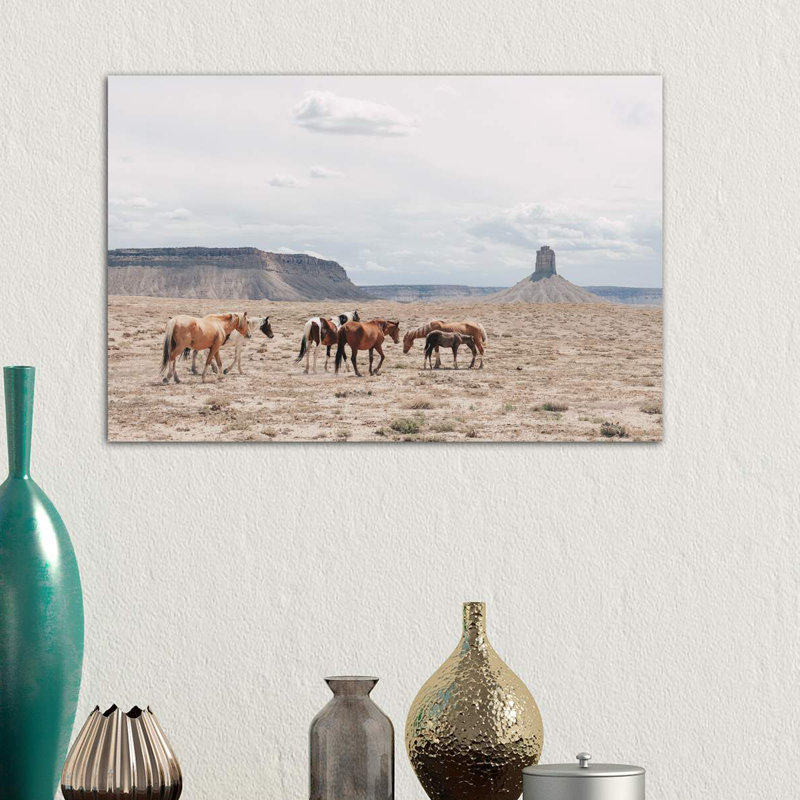 « arizona », photographie, H 8 po x l 12 po x P 0,75 po, Toile tendue