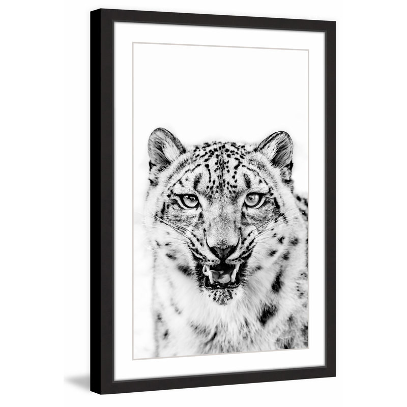 Single Picture Frame Print, 91cm H x 61cm W x 3.81cm D