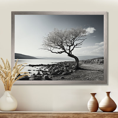 Beautiful Tree Black And White Lake Photography - Lake Wall Art
