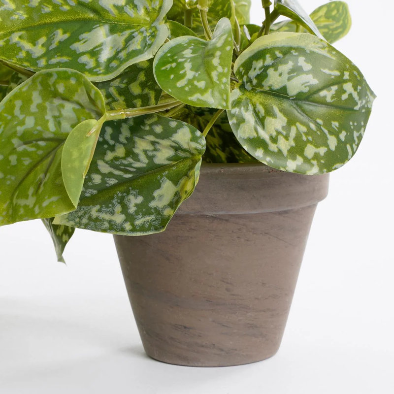 scindapsus 44 cm H Faux Plant