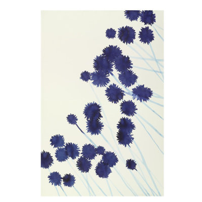 Plants VII Print by Hable Construction