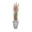73 po Faux plante de pampa en pot