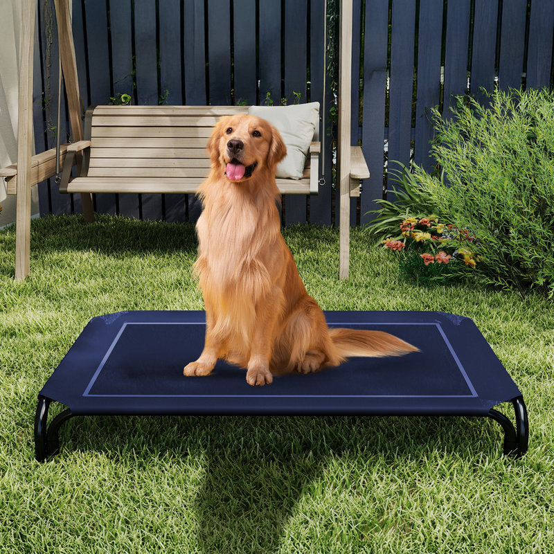 Lit pour chien surélevé intérieur / extérieur avec pieds antidérapants, H 7,9 po x l 43,3 po x P 31,9 po, Bleu