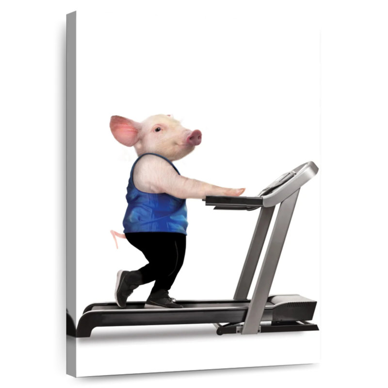 Pig On Treadmill, 51" H x 34" W