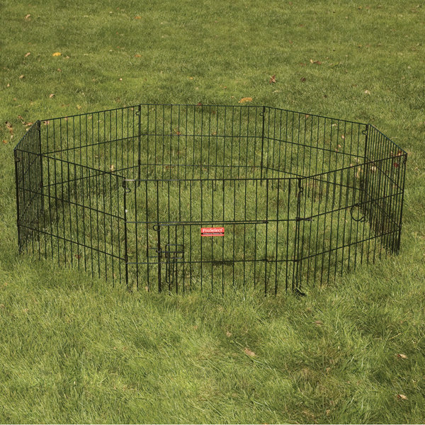Black Metal 8-Panel Exercise Pen with Door
