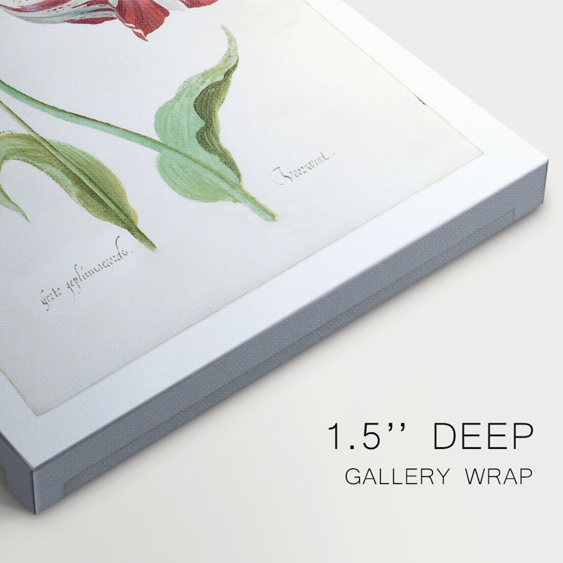 Two Tulips II -Gallery Wrapped Cavas, 48" H x 32" W