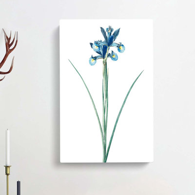 Spanish Blue Iris Flowers by Pierre-Joseph Redoute - Wrapped Canvas