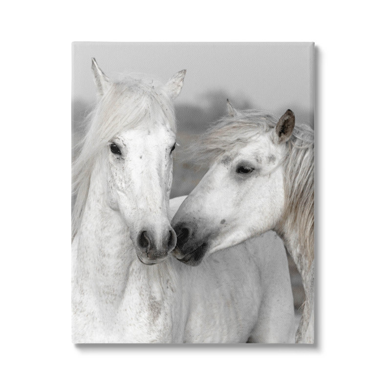 "White Horse Kiss", art mural sur toile par Danita Delimont, H 20 po x l 16 po x P 1,5 po