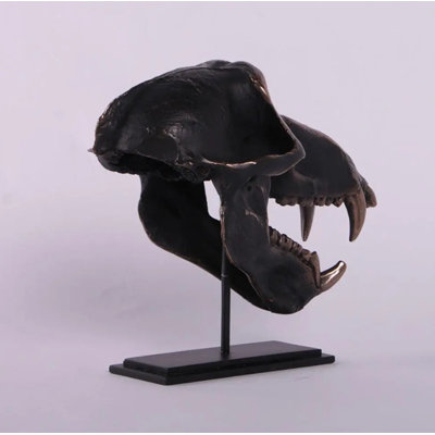Monkey Baboon Skull Life Size Statue