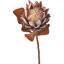 Mulberry Brown Dried Flower Bunch-119034007-119034006