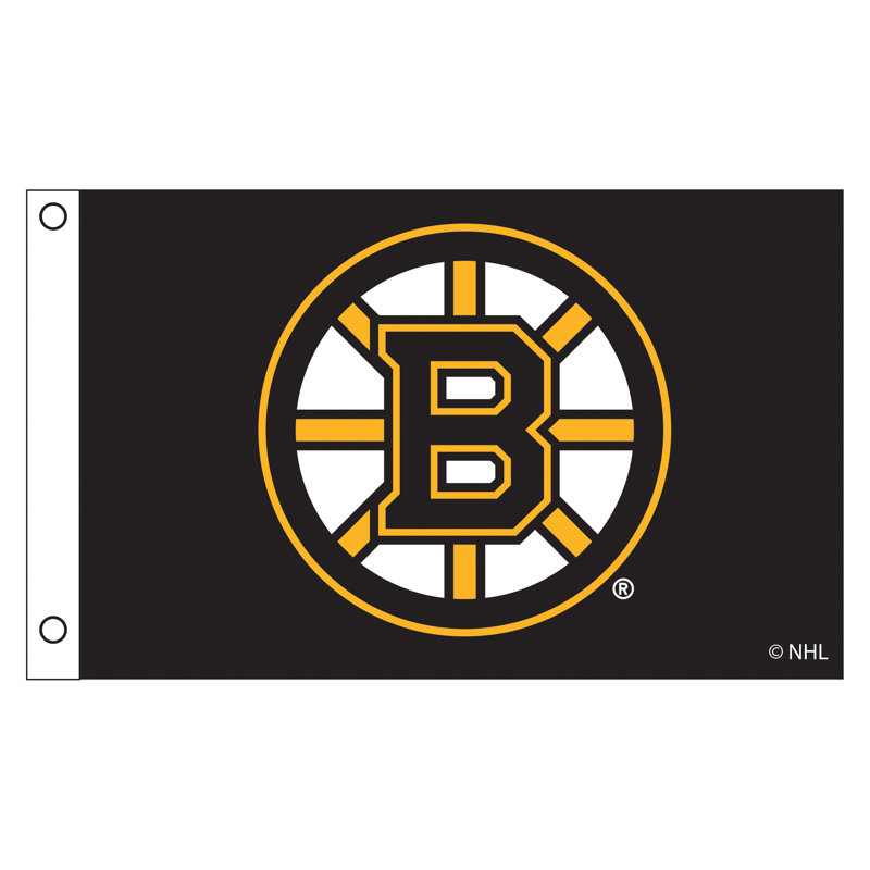 Drapeau de maison en polyester à double face H 36 po x l 60 po, Blanc / jaune/ noir, Boston Bruins