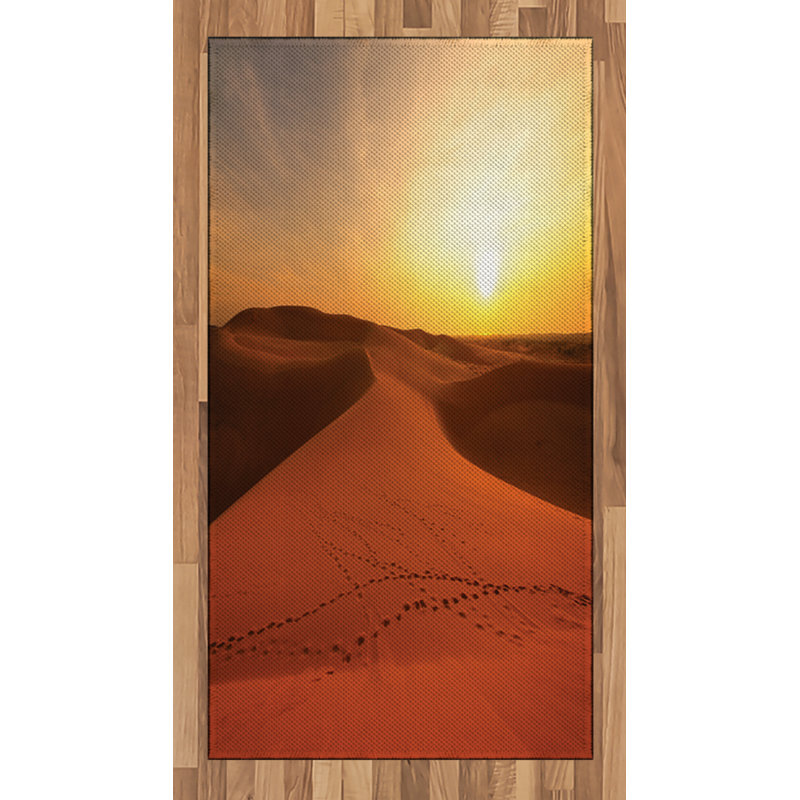 Desert High Density Long Fiber Poly Threads Decorative Area Rug Carpet, Rectangle 2'7" x 5'