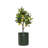 Grow Metal Pot Planter-55818097-55818098