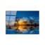 Boze 1 Piece Wall Art on Glass