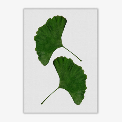 Ginkgo Leaf II - Print