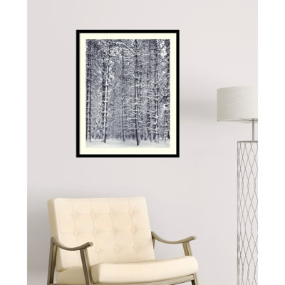 Pine Forest In The Snow, Yosemite National Park by Ansel Adams - Single Picture Frame Print