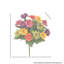 Mixed Zinnia Bush