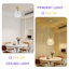 1 - Light Gold Novelty Pendant