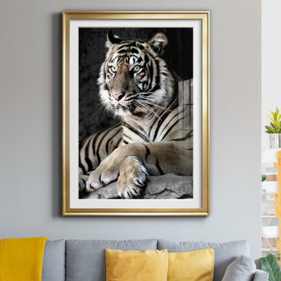" Sumatran Tiger "