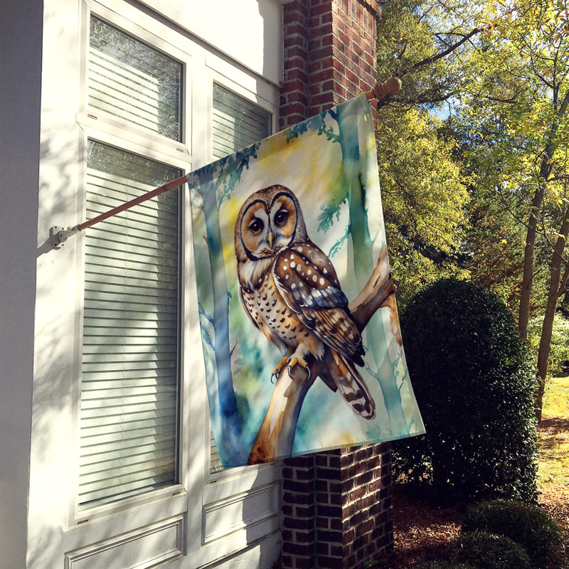 House Flag, Spotted Owl