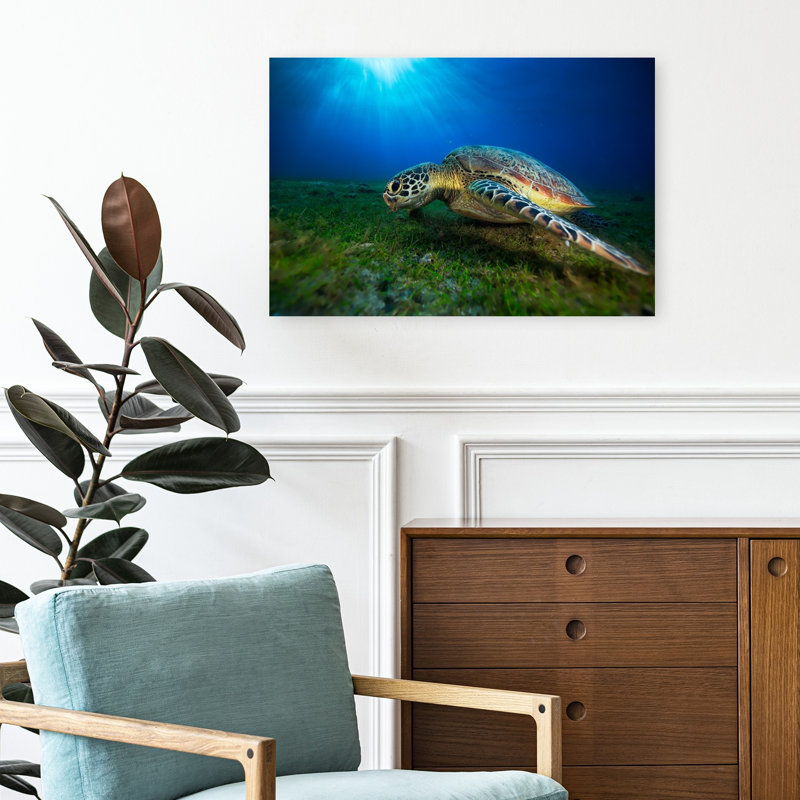 Sea Turtle Sun Rays Peaceful Serene Vibrant Turtle Nature Ocean Wall Art Print 1 Piece Wrapped Canvas Wall Art