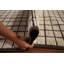 Tapis marocain moderne à carreaux All-Over 12 x 19