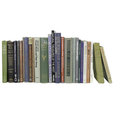 Livres décoratifs - Surdimensionné rétro pour l'extérieur - Livres au pied