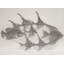 Coastal Wall Decor on Metal