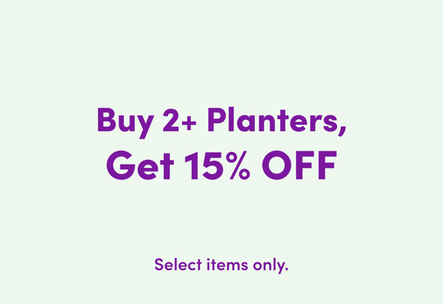 Buy 2+ Planters, Get 15% OFF