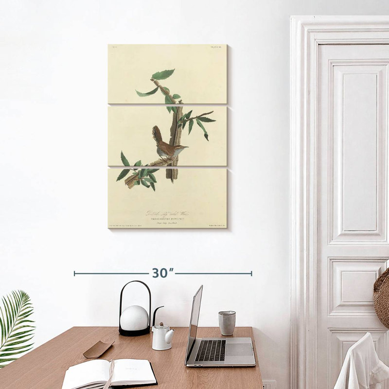 Keiri Bewick's Wren, 45" H x 28" W