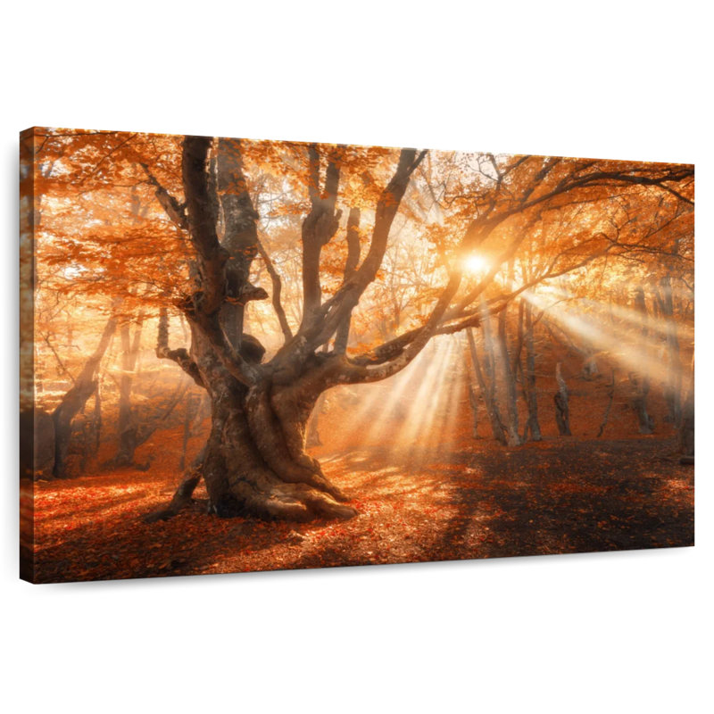 Lumière du soleil d'automne Alvord, H 24 po x l 36 po