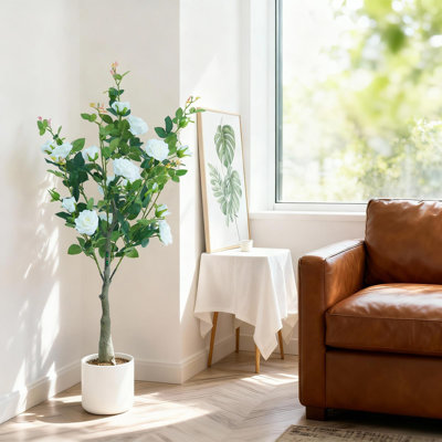 120cm Plant