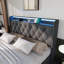 Upholstered bed, 360 surround LED function, Buttons/Apps/Remote Control, hydraulic storage bed-1661893787