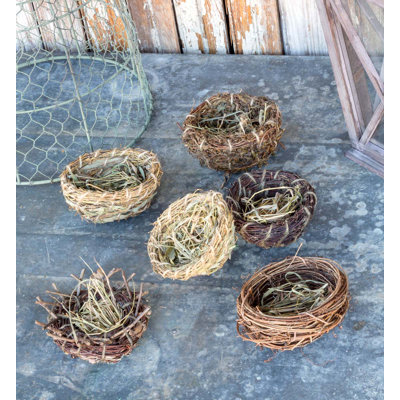 Nest Collection, Set Of 6, Assorted Styles