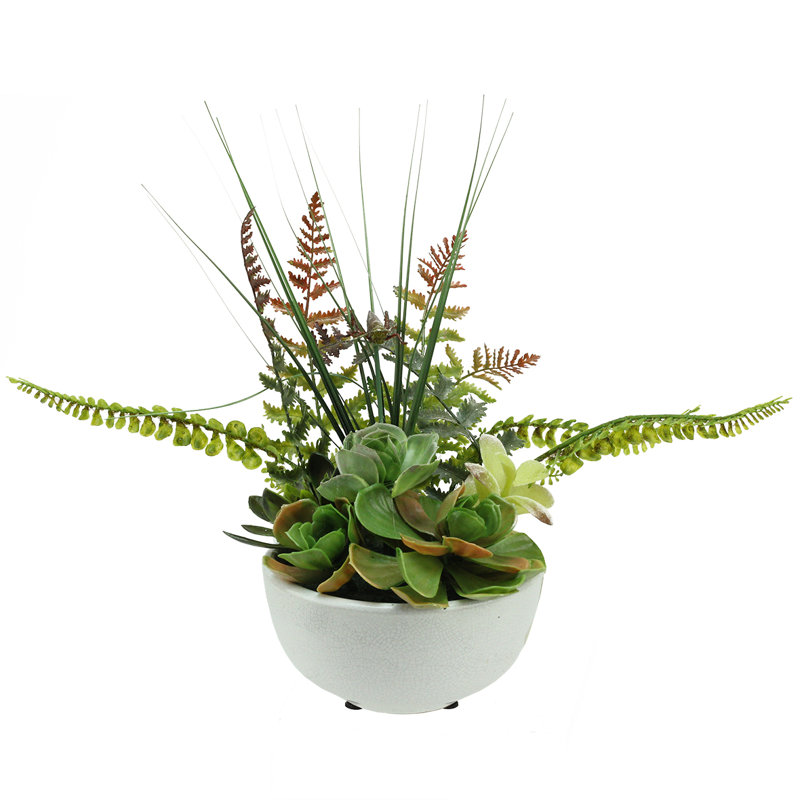 Plante grasse artificielle en pot 11,5 po