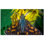 Butterfly Photo 6'' x 6'' Satin Ceramic Decorative Mural