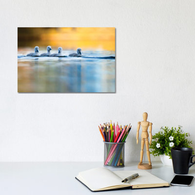 Four Cygnets by Mateusz Piesiak - Wrapped Canvas Print