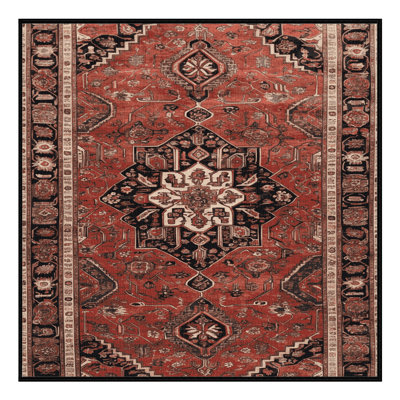 Machine Washable Persian Brown Area Rug