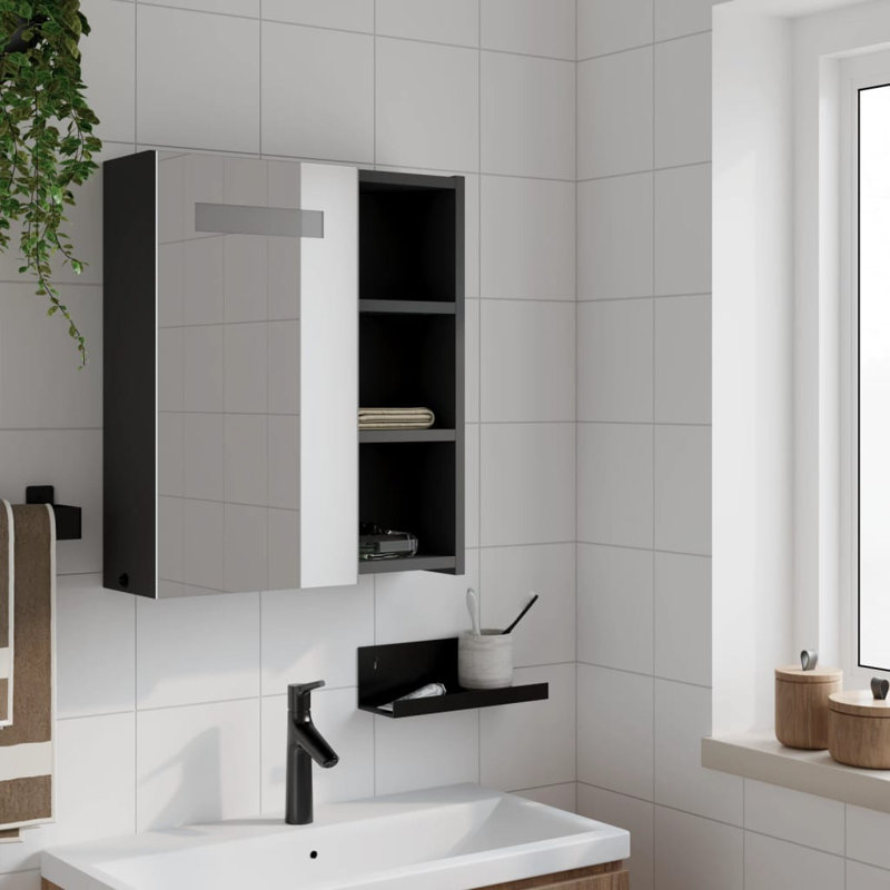 Adrianny W 52mm H Freestanding Framed Medicine Cabinet Mirror, 52 cm H x 45 cm W x 13 cm D, Black