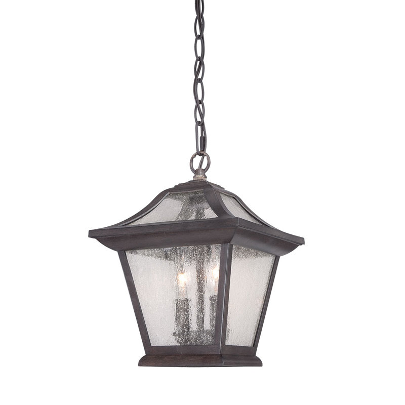 Vanleer 2 - Light Outdoor Hanging Lantern, Black Coral