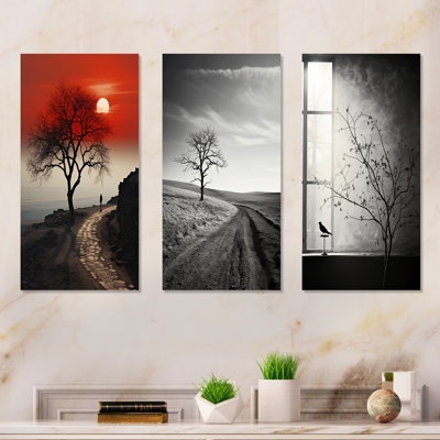 Tree Lined Dreams - Road Tree Metal Art Print Set Of 3