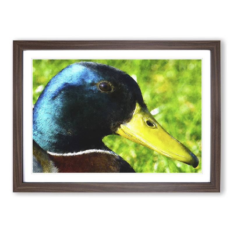 Mallard Duck - Picture Frame Painting, Walnut Framed, 27cm H x 36cm W x 2cm D