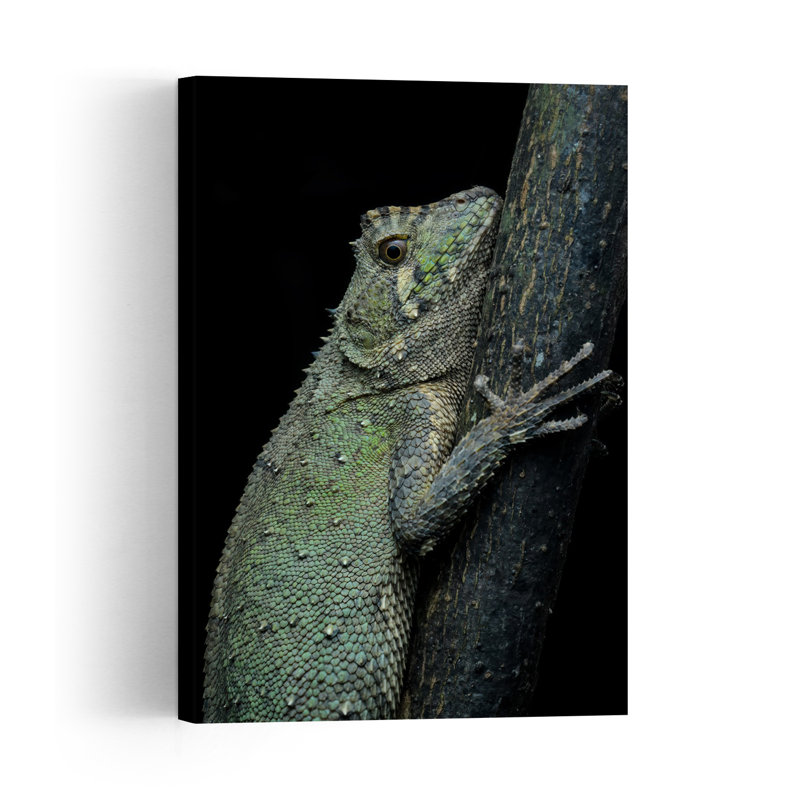 Green Forest Lizard Abstract Lizard Forest Nature Wall Art Print by Nguyen Trung Dung - Print, 152.4cm H x 101.6cm W