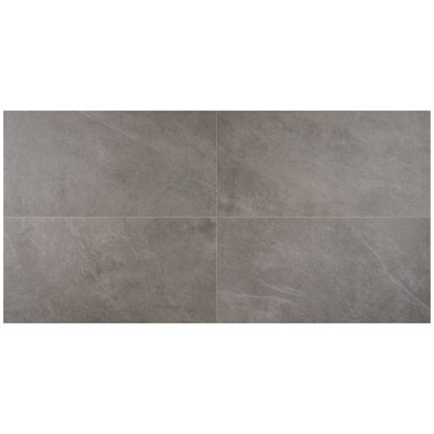 Roche 23.62 In. X 47.24 In. Matte Porcelain Floor And Wall Tile (15.49 Sq. Ft. / Case)