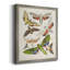 Toile encadrée de qualité supérieure Antique Moths II - prête à être accrochée-969809181-969809179