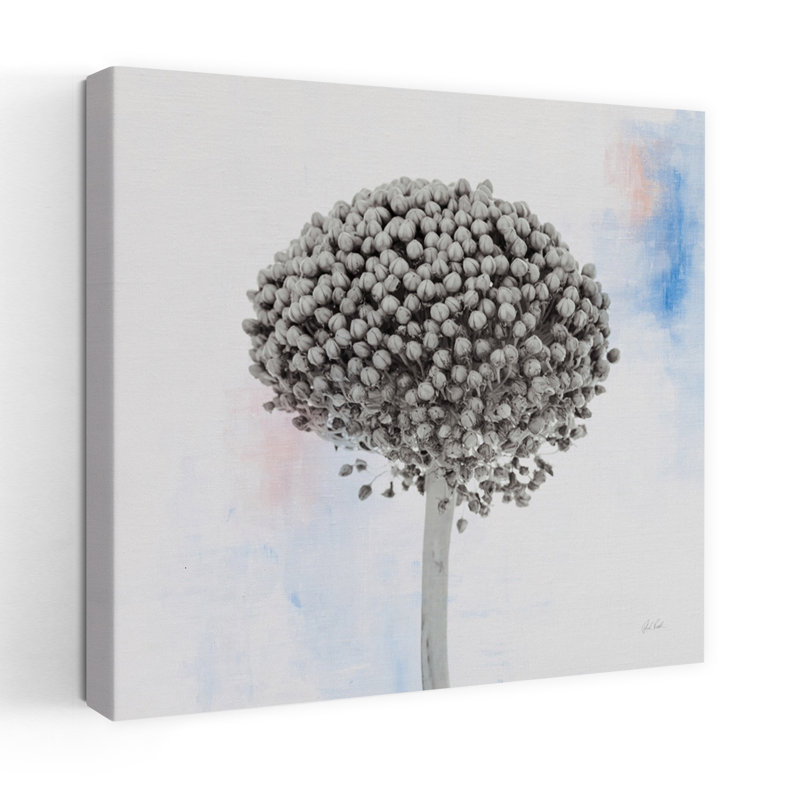 Agapanthus I, art floral contemporain, H 36 po x l 36 po