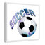 Fille de football 1-48188686-48188693
