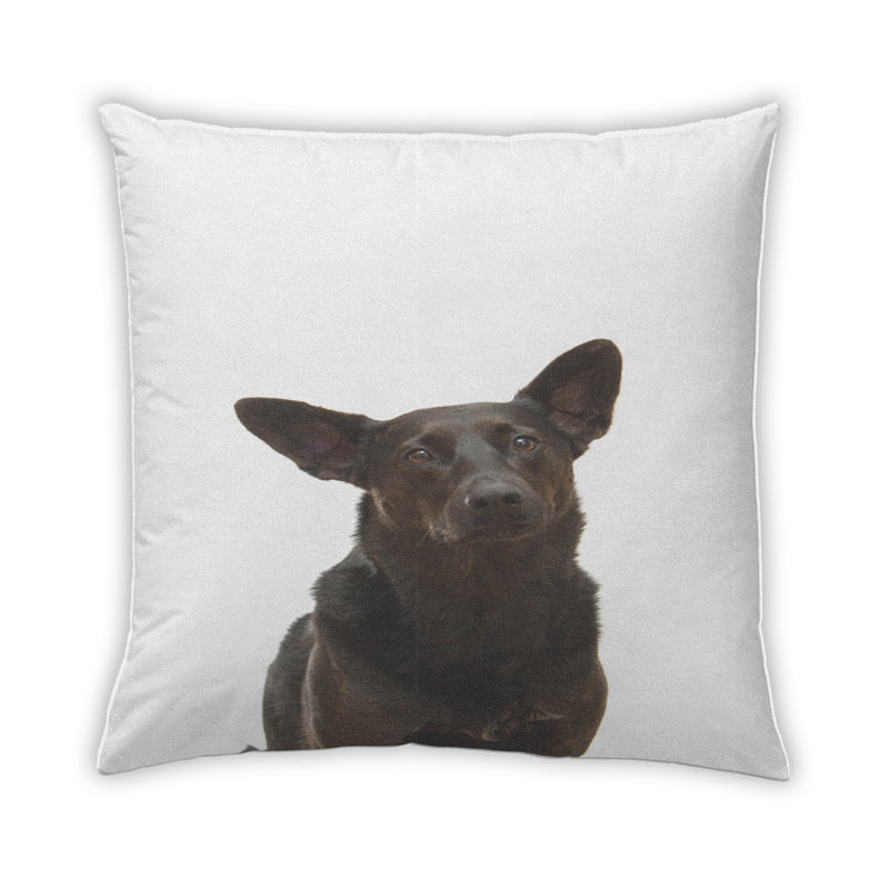 Coussin Dogs Dogs 17, Microsuède
