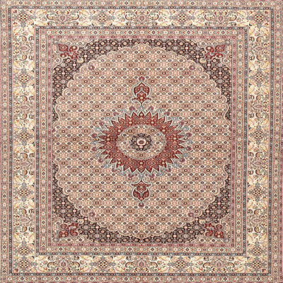 Oriental Indoor Rug